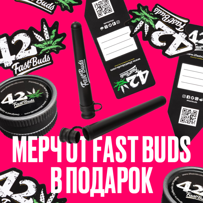 RBR_Fastbuds_800_5.png