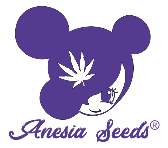 anesia.png