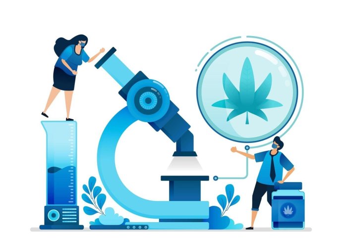 cannabis-illustrations-research-and-development-of-ganja-for-education-health-and-commercial-medicine-can-be-used-for-landing-page-website-web-mobile-apps-flyer-banner-template-poster-free-vector.jpg
