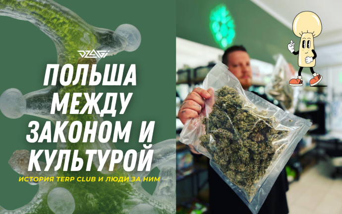 терп клаб.png