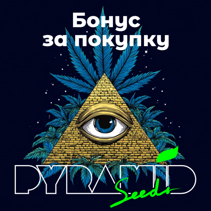 RBR_pyramid_800_4.png
