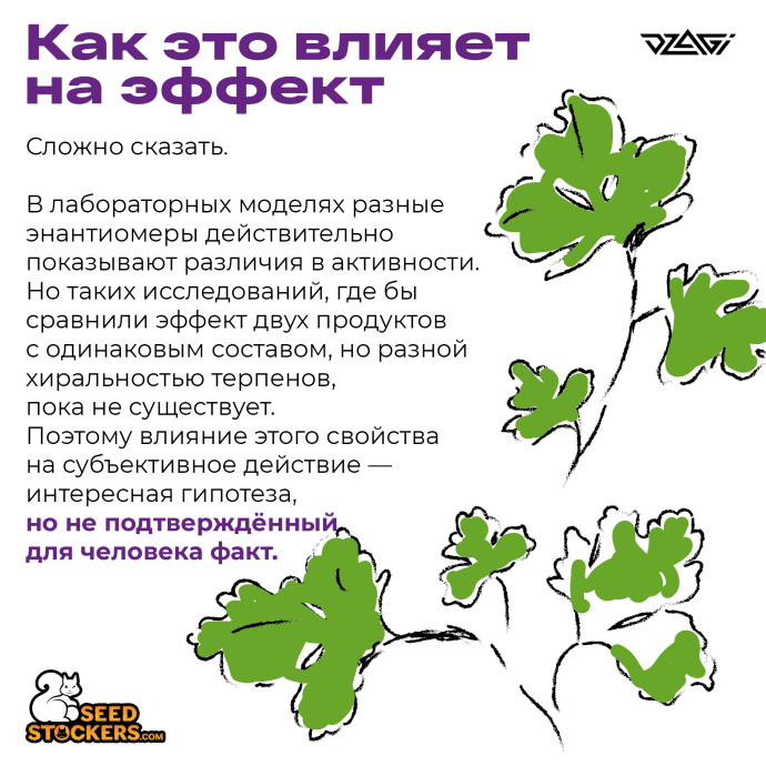 1Монтажная область 1_8.png