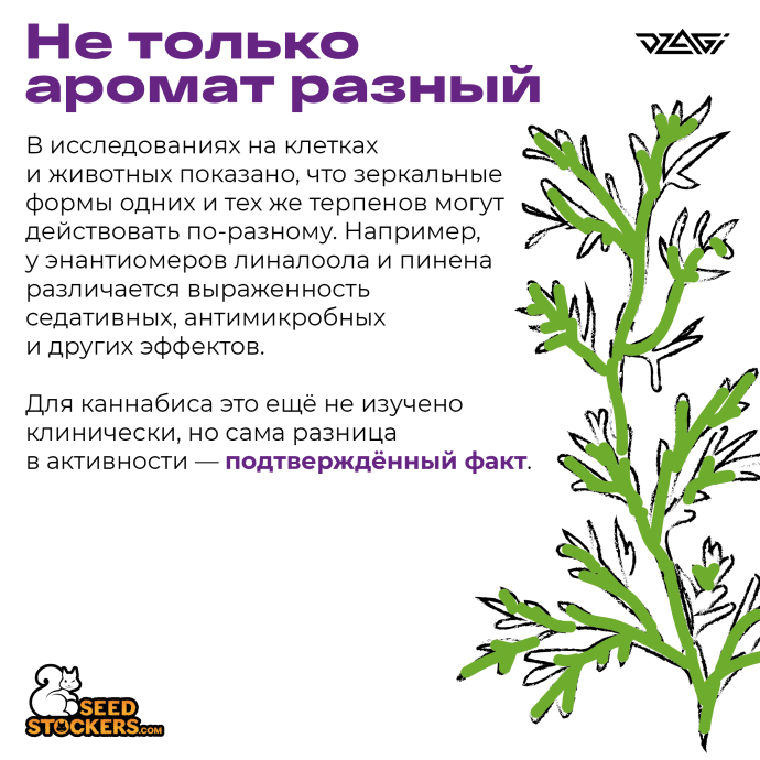 1Монтажная область 1_3.png