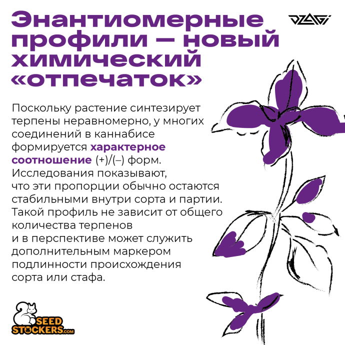 1Монтажная область 1_4.png