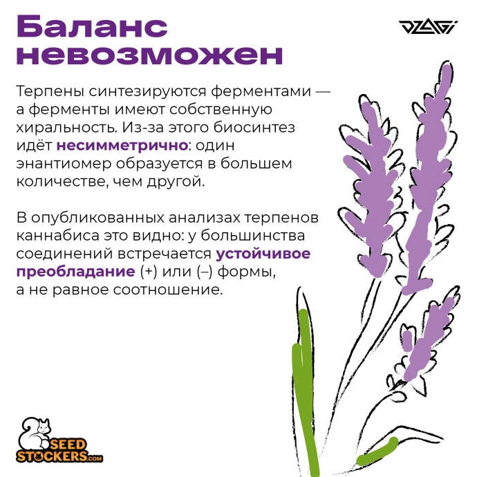 1Монтажная область 1_1.png