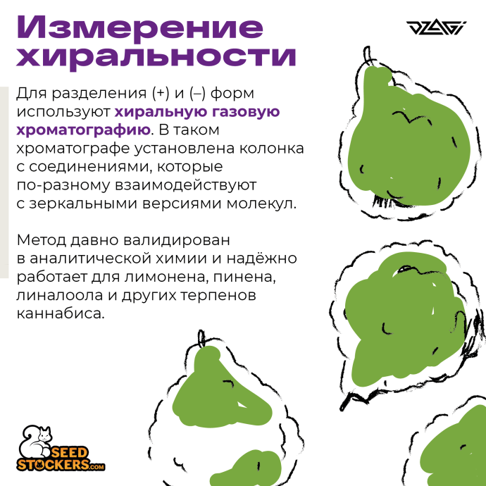 1Монтажная область 1_6.png