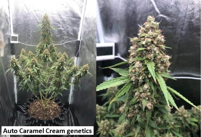 2025-12-24 17.12.22.jpg