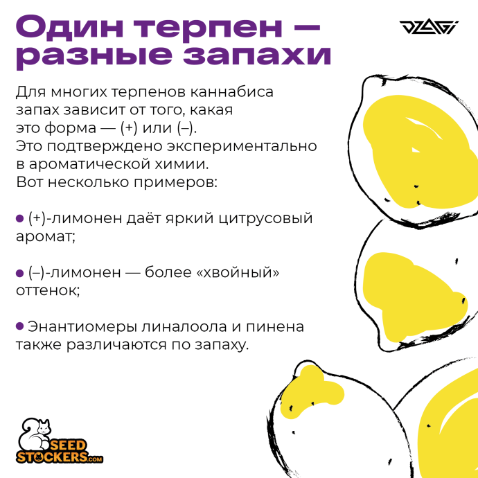 1Монтажная область 1_2.png