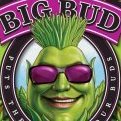 Big bud