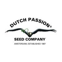 DutchPassion