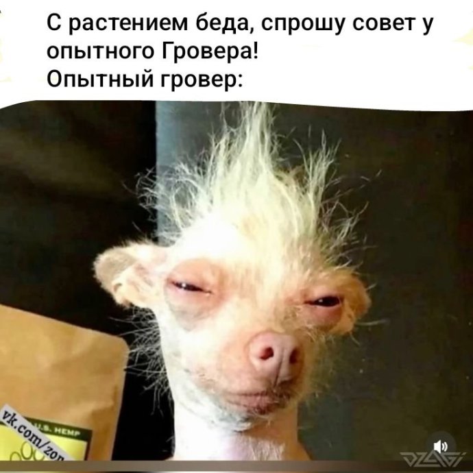 IMG_20260410_000306.thumb.jpg.e67d3af3db7298cccfa1ac1626ef95b0.jpg