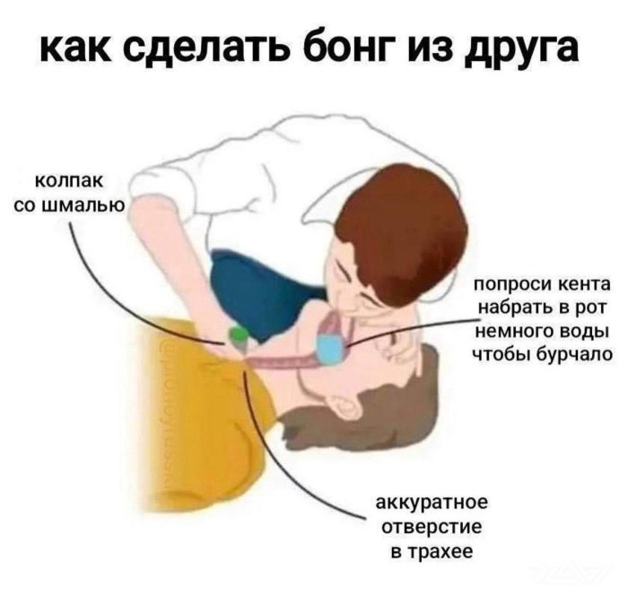 IMG_20260410_081634_196.thumb.jpg.a96ac09003411c1aac829b8d68ee11c6.jpg
