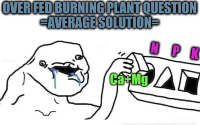 image.thumb.png.b53ad652b25c2c056e66c79f42c746f7.png
