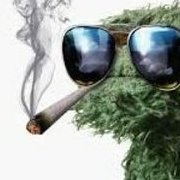 Dr.Green1