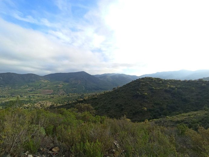 telegram-cloud-photo-size-4-5800946876713471526-y.jpg