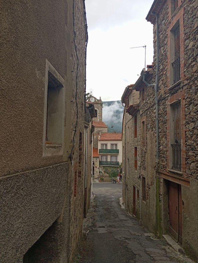 telegram-cloud-photo-size-4-5800946876713471530-y.jpg