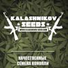 KalashnikovSeedsRus