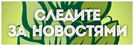 dzagicup_14_360.png