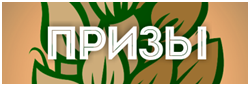 dzagicup_14_360_2.png