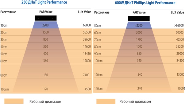 Сколько lux. Люмены ДНАТ 250. Лампы ДНАТ 600 Вт для растений световой поток. ДНАТ 600 ватт. Таблица люмен ДНАТ 250вт.