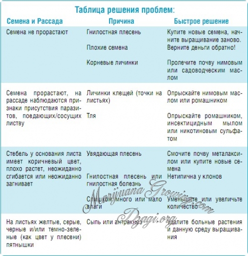 Таблица решения проблем с семенами и рассадой