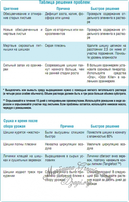 Таблица решения проблем на цветении