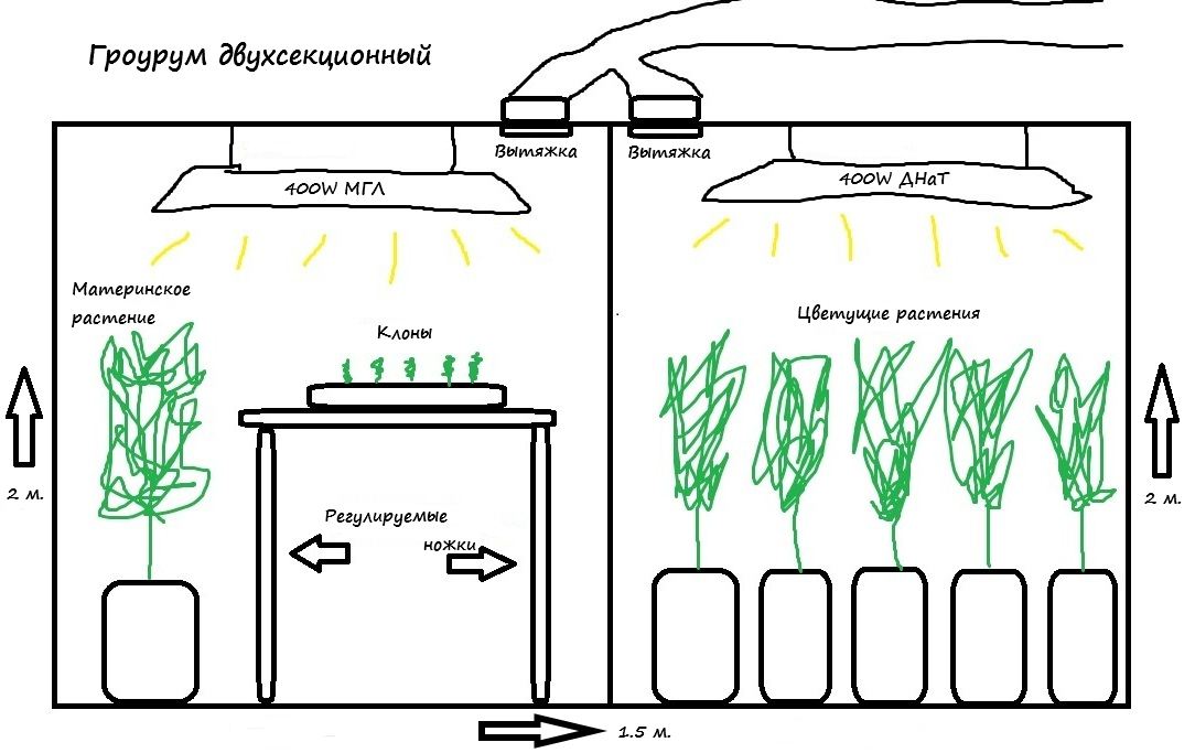 Схема расти. Чертеж гроубокса для конопли. Гроубокс ЭСЛ схема. Гроубокс схема марихуана. Схема гроубокса для конопли.
