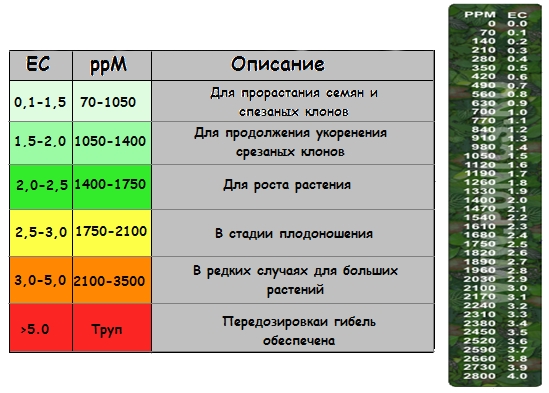ec-dla-rosta.png