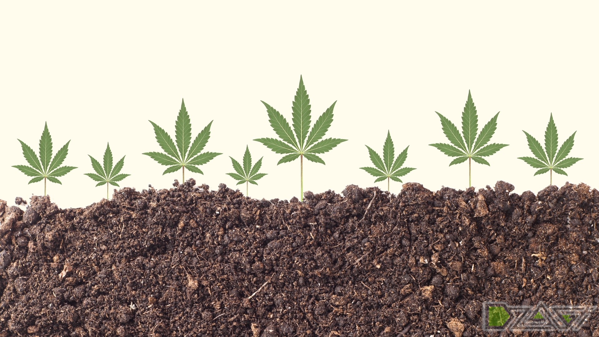 Токсины в марихуане выращивание конопли под ультрафиолетом