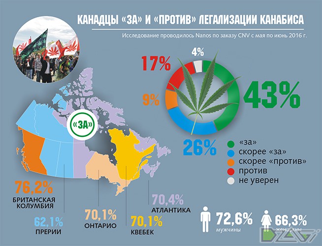 распространение марихуаны украина