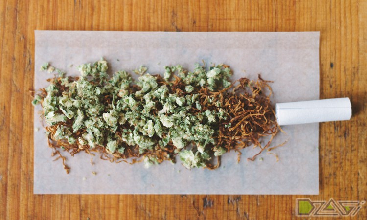 Как правильно делать косяк из марихуаны дикая конопля в сочи