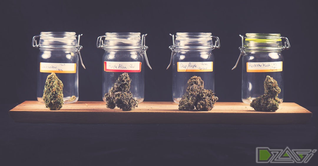 Как хранить марихуану без запаха как посадить семена конопли дома