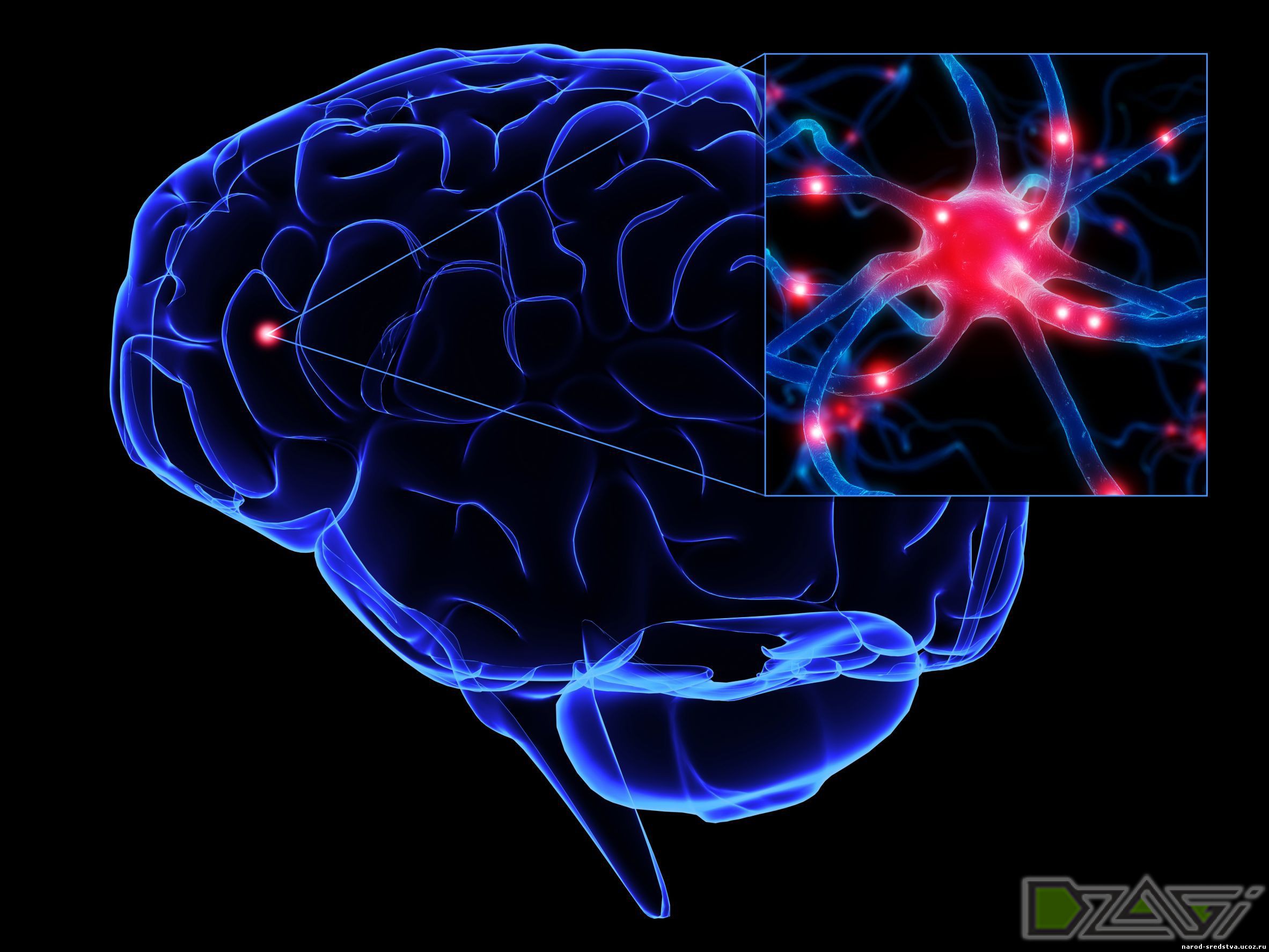 Brain Bumper