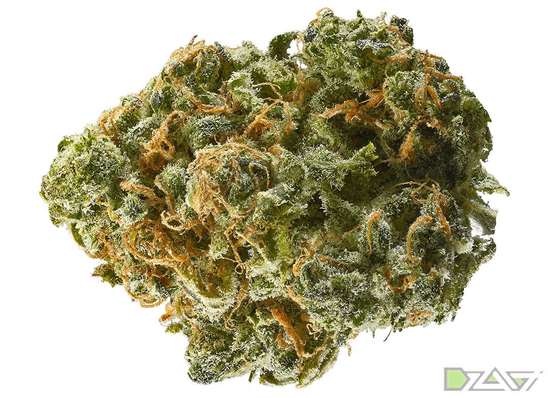 Крепкие сорта марихуаны имя узла тор браузер hudra