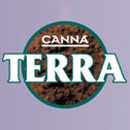 Canna_terra2.jpg
