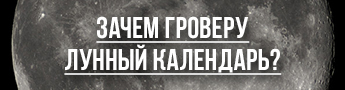 L_K_Dzagi_.jpg